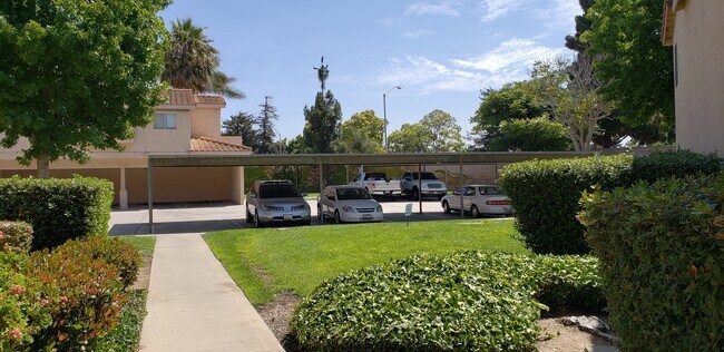 Building Photo - Las Palmas Downstairs Condo