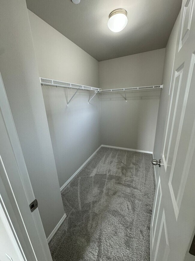 Building Photo - 1163 Swan Loop