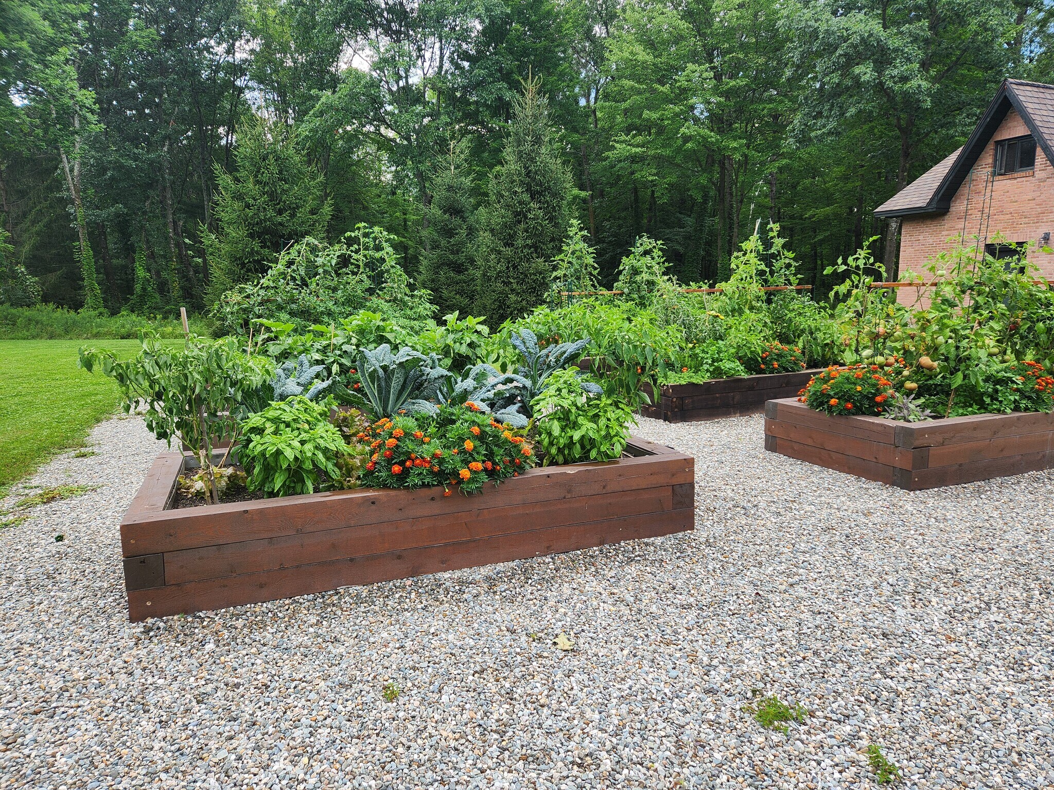 Garden Beds - 2198 Blakely Rd