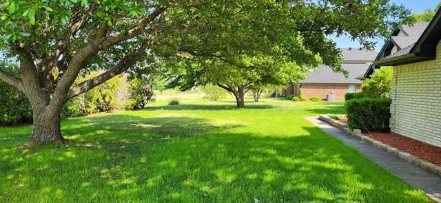 Building Photo - 11149 Magic Ln