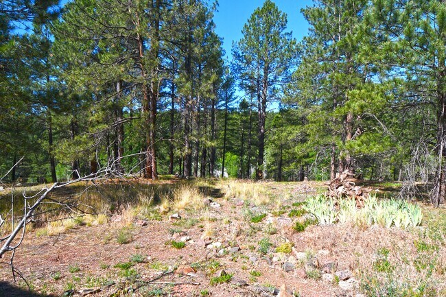 Building Photo - 2678 Mesa Trail