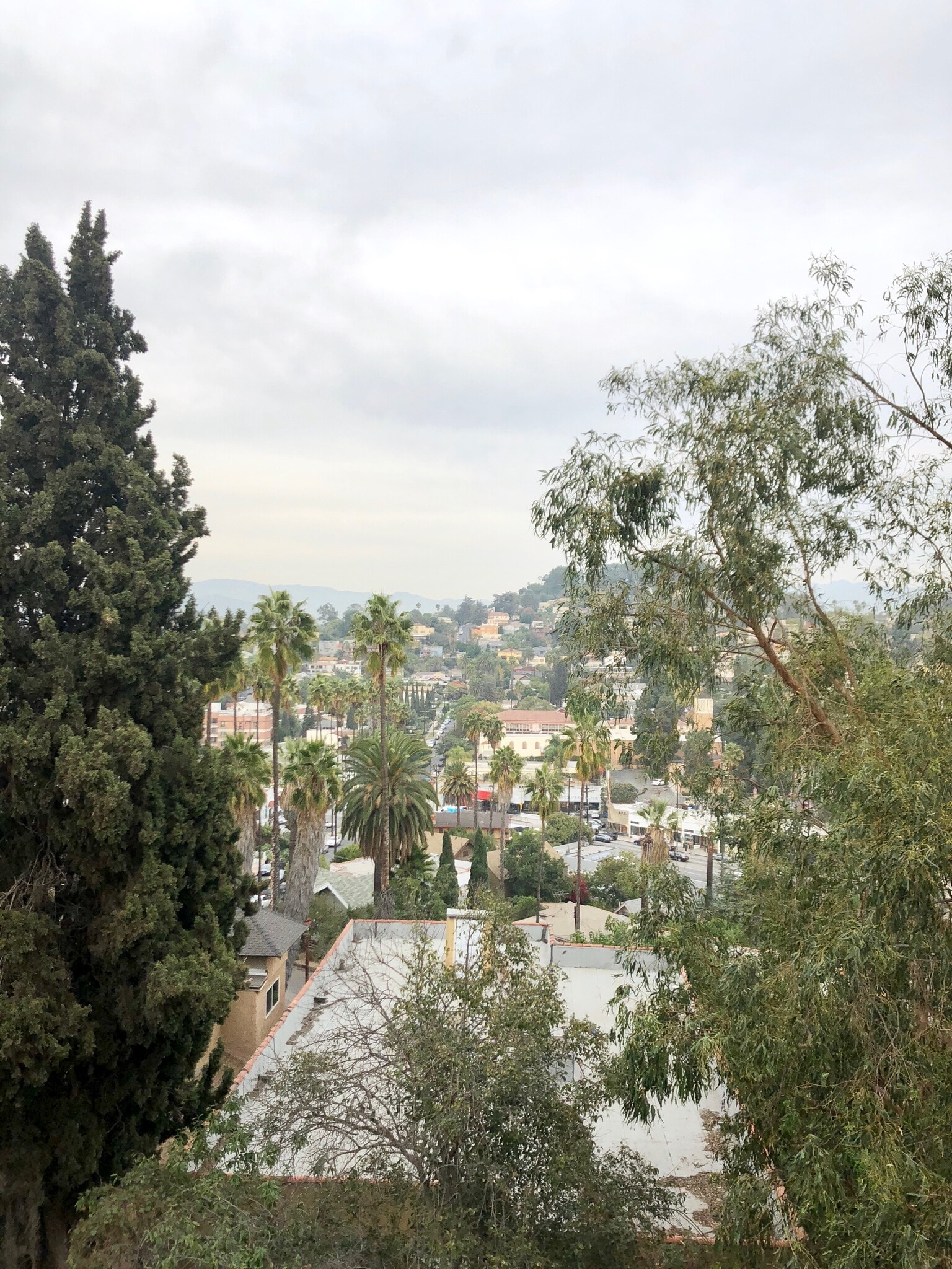 View - 3459 Winslow Dr