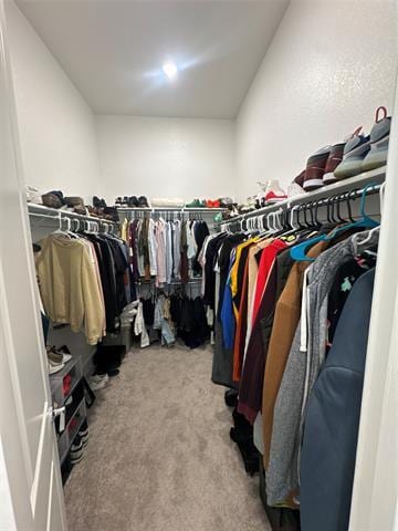 Building Photo - 1616 Bulls Eye Rd