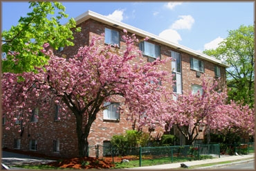 Primary Photo - Gardner St, 75-90