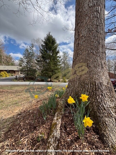 Building Photo - 201 Camellia Way