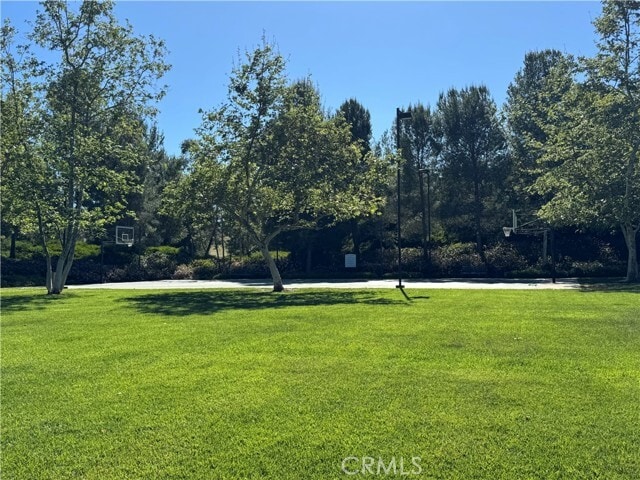 Building Photo - 80 Cipresso