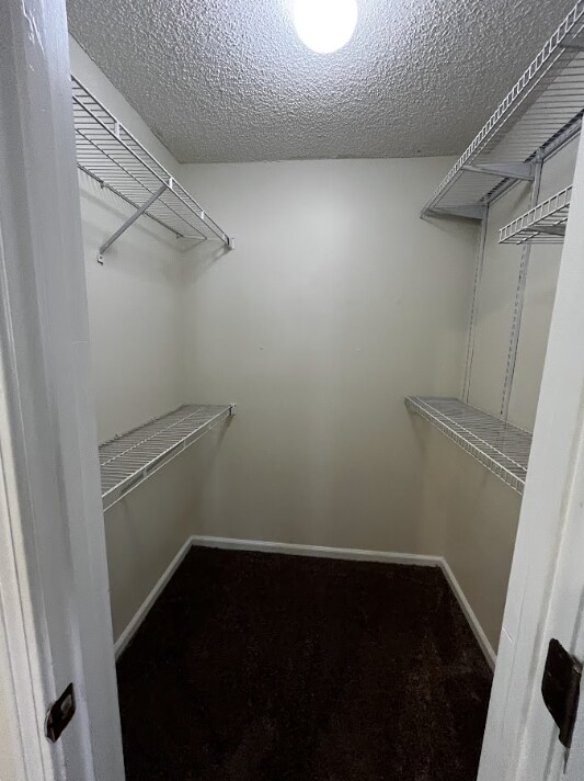Building Photo - 1159 Radis Pl