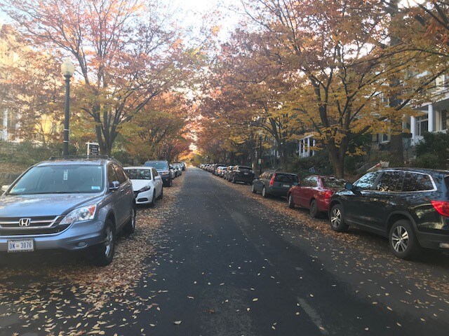 Lamont Street - 1843 Lamont St NW