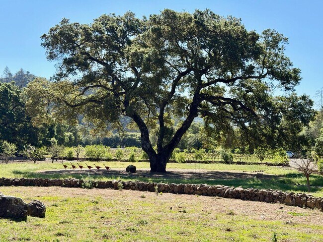 Building Photo - 321 Dutch Henry Canyon Rd