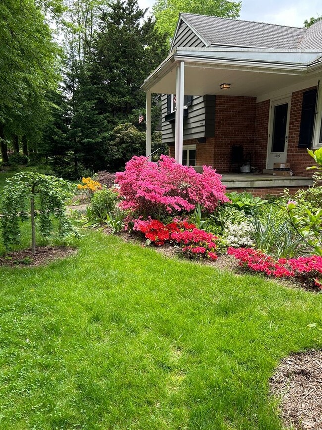 Building Photo - Wyomissing Schools Rental