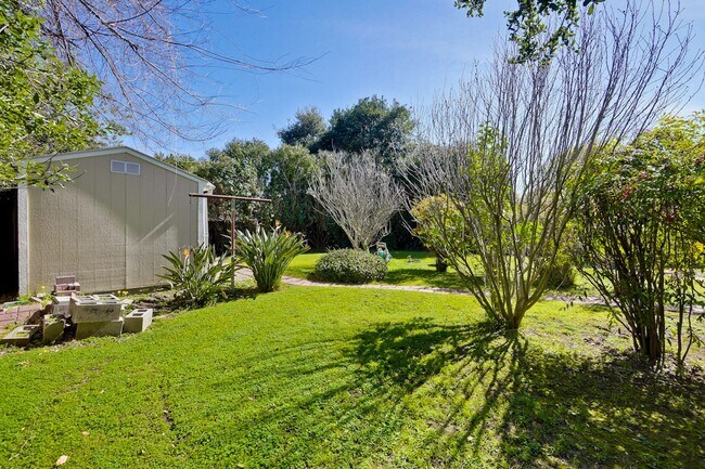 Building Photo - Awesome Home Located in a Quiet Tree Line ...