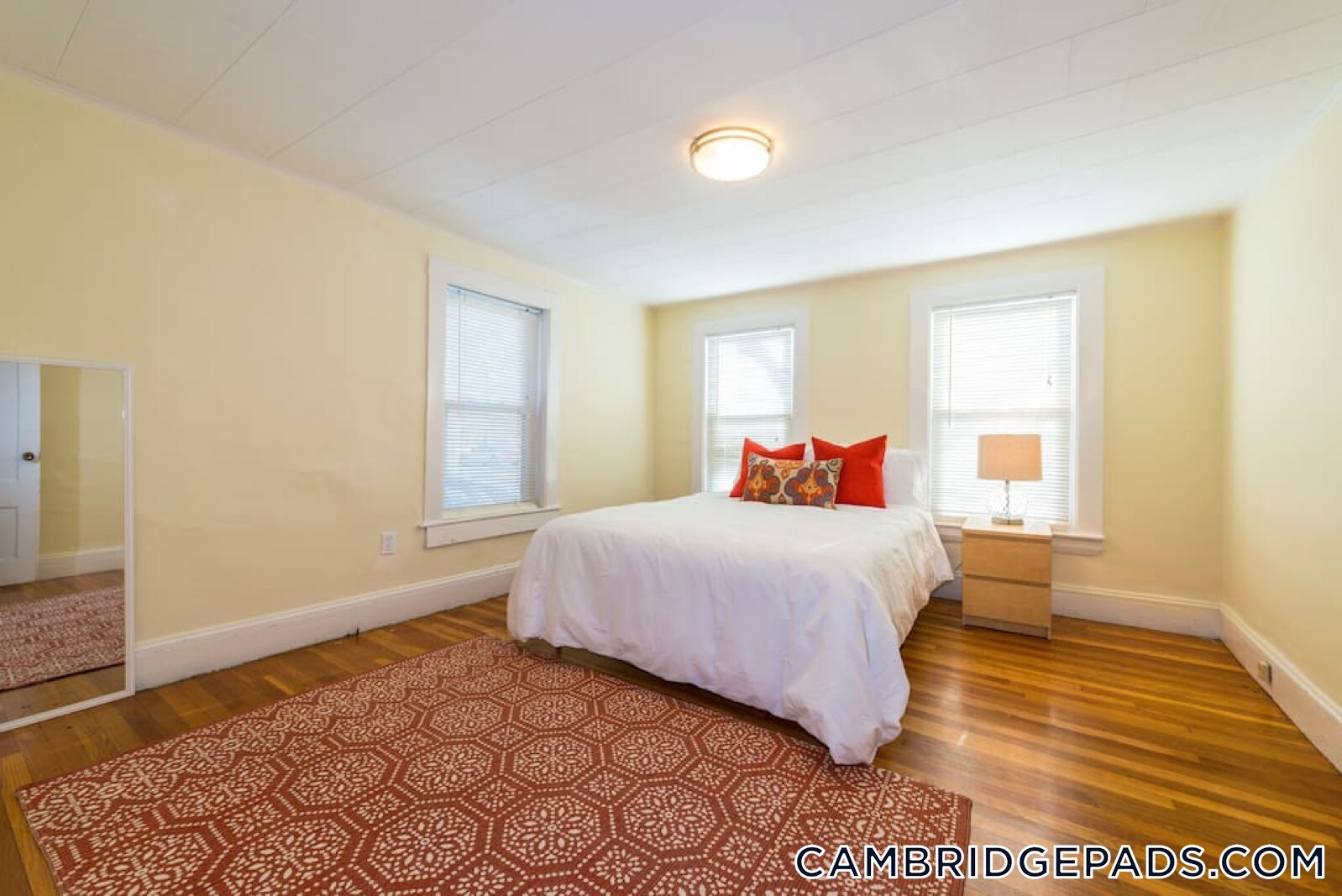 Building Photo - 199 Mt Auburn St