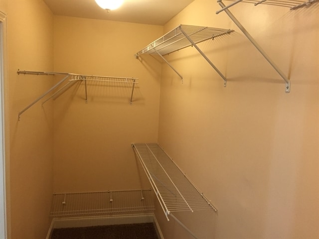 Building Photo - 83 Ristona Dr