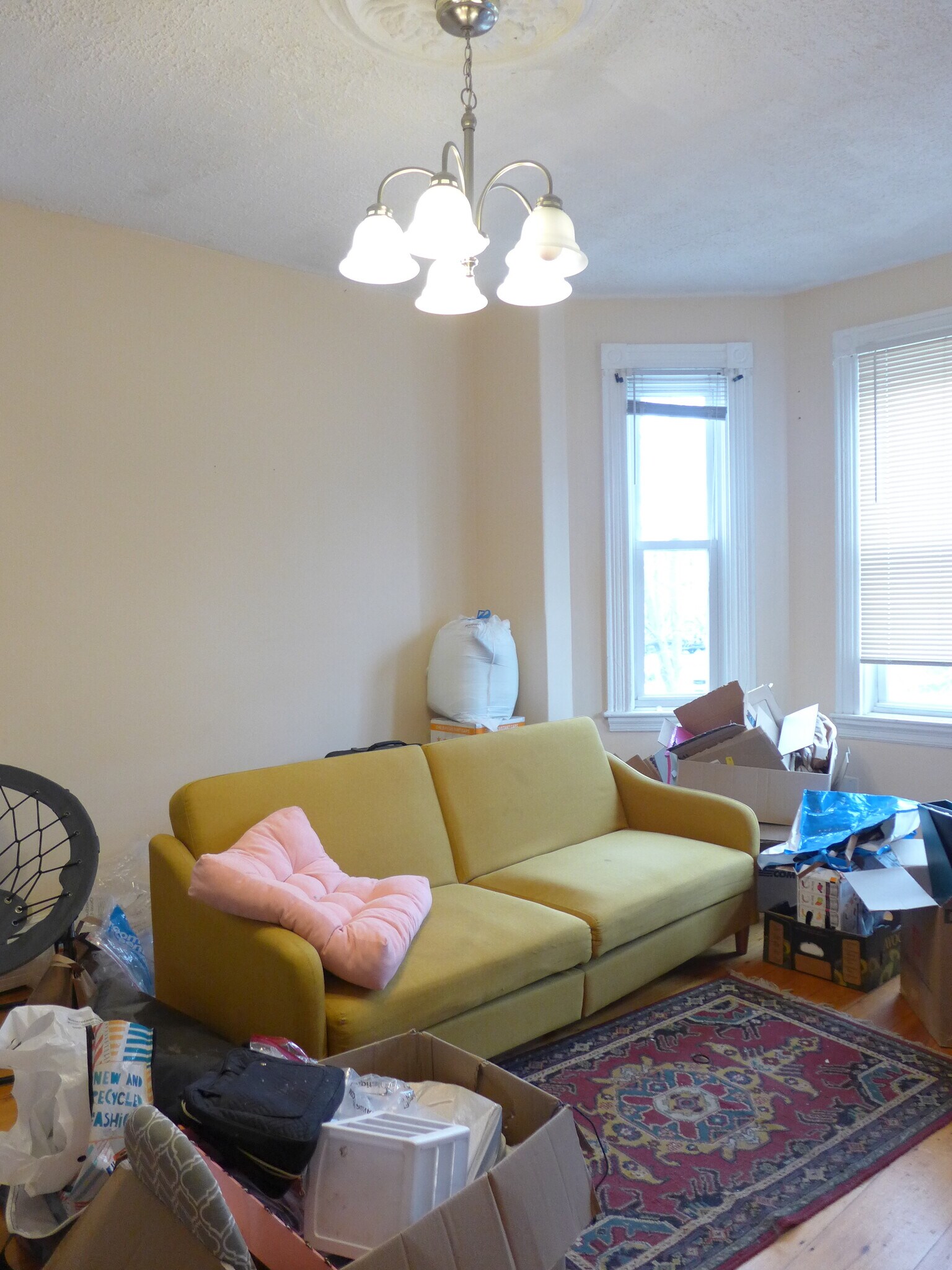 Building Photo - 828 Parker St