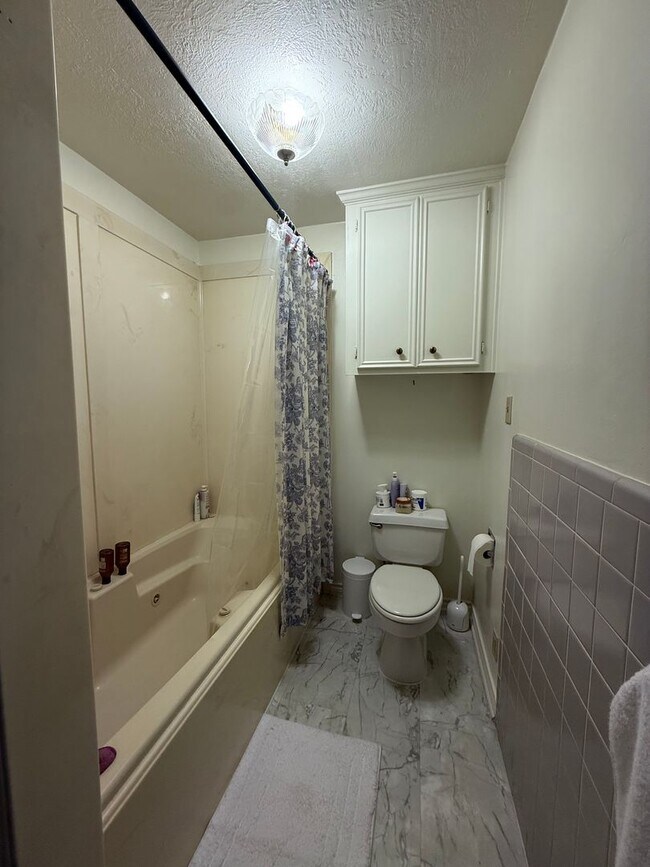 Building Photo - Brand New Remodel