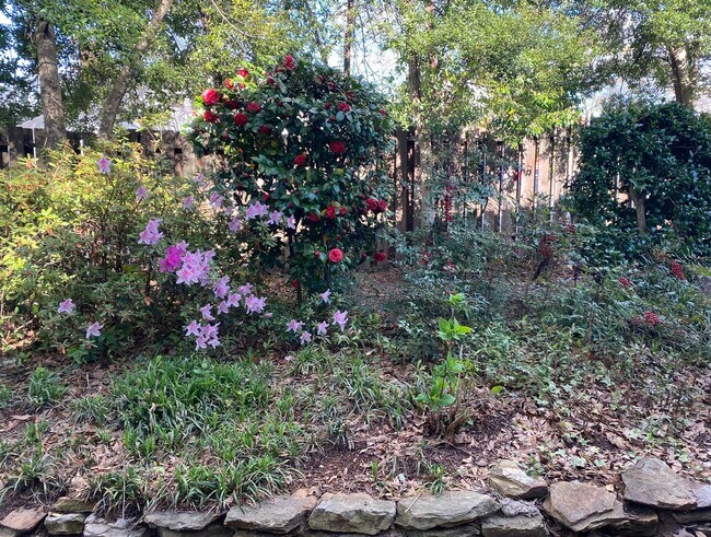 Building Photo - One Bedroom Garage Apartment in 5 Points!!