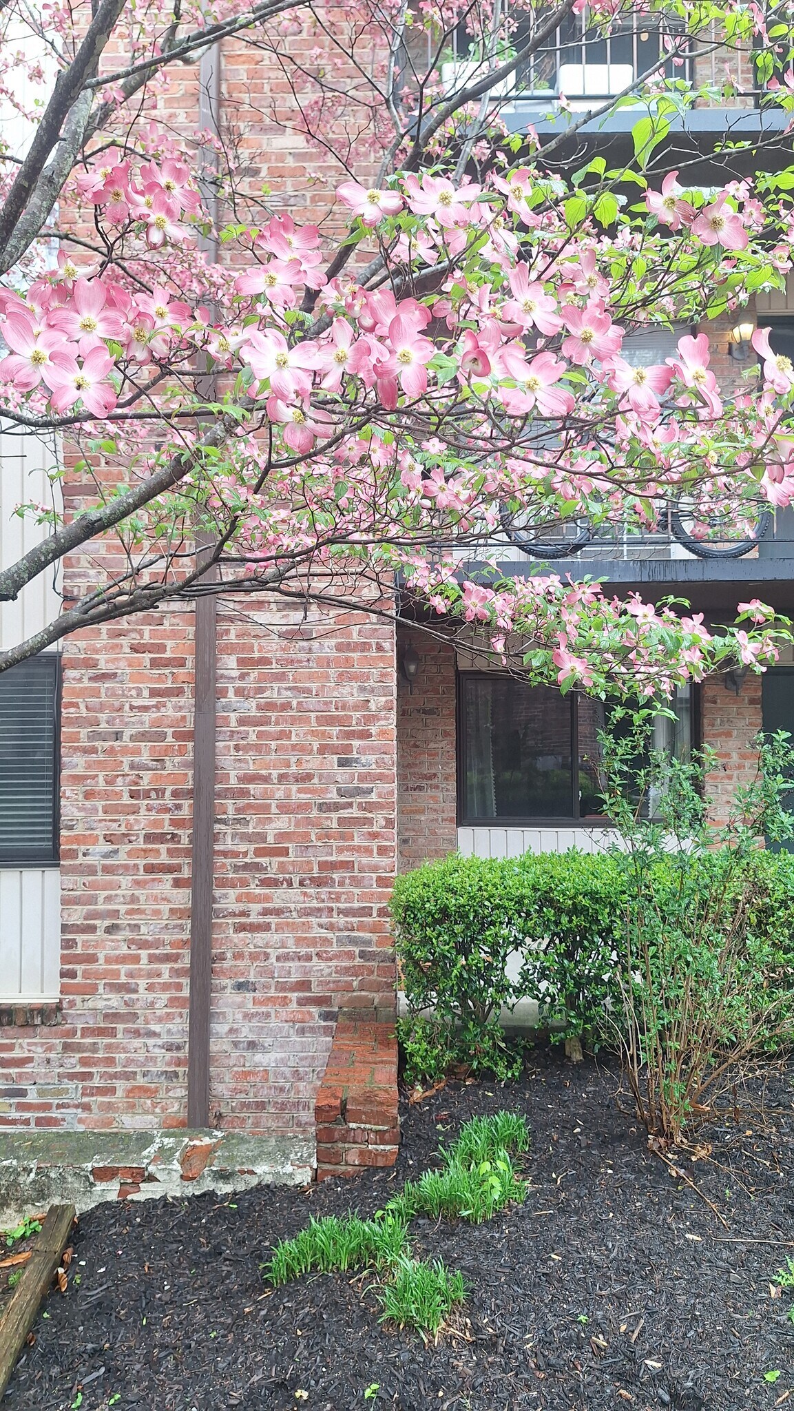 Building Photo - 2718 Painter Ave