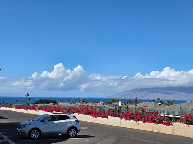 Building Photo - Luxury 3/2 Grated Community in South Kihei.