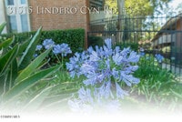 Building Photo - 31515 Lindero Canyon Rd