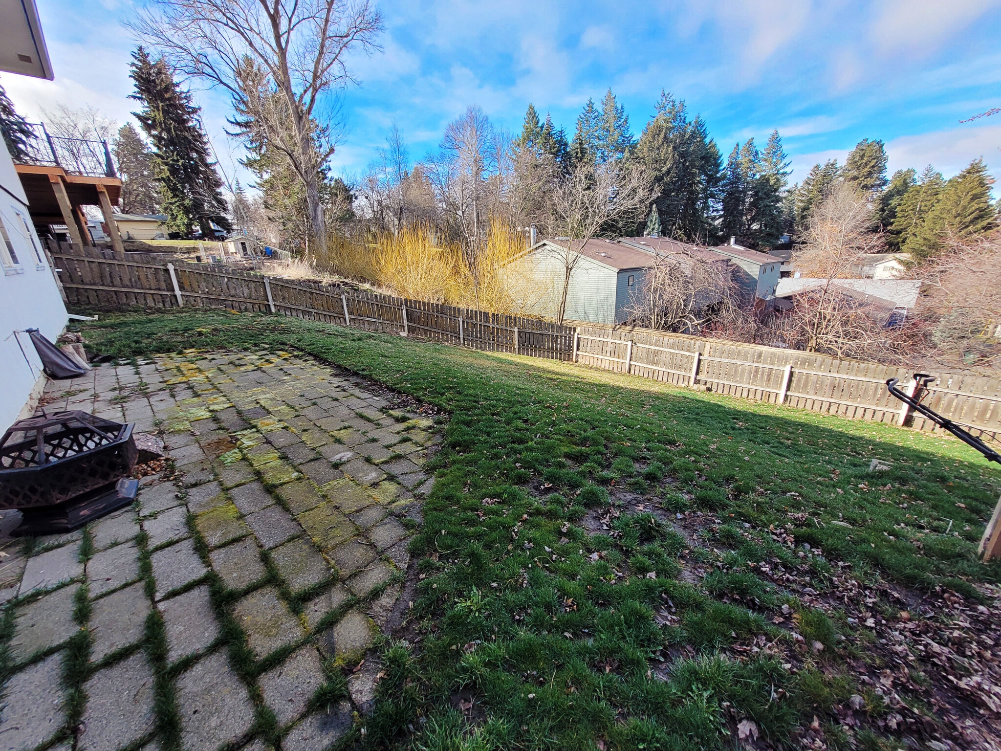 Exterior; Fenced backyard with patio - 649 N Hayes St