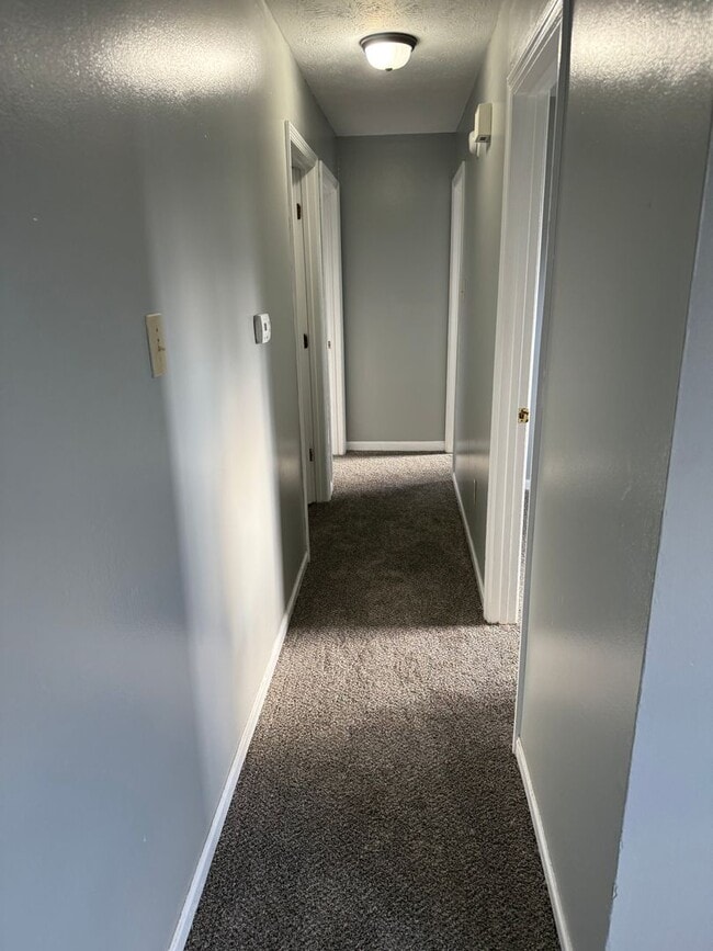 Building Photo - 3509 Buckhorn Dr