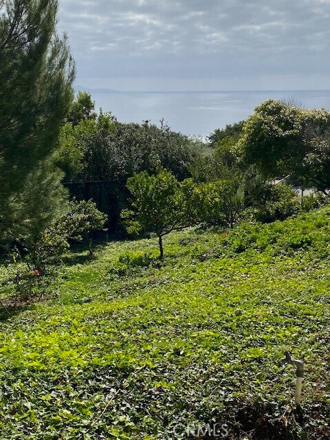 Building Photo - 3200 La Rotonda Dr