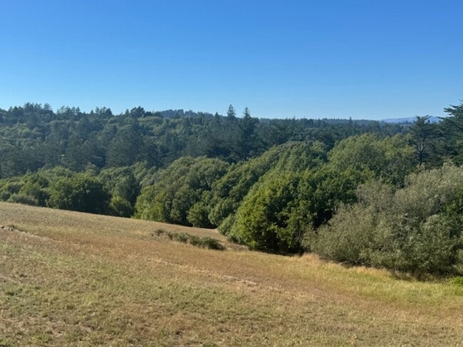 Building Photo - New 2 bedroom home located in rural West C...
