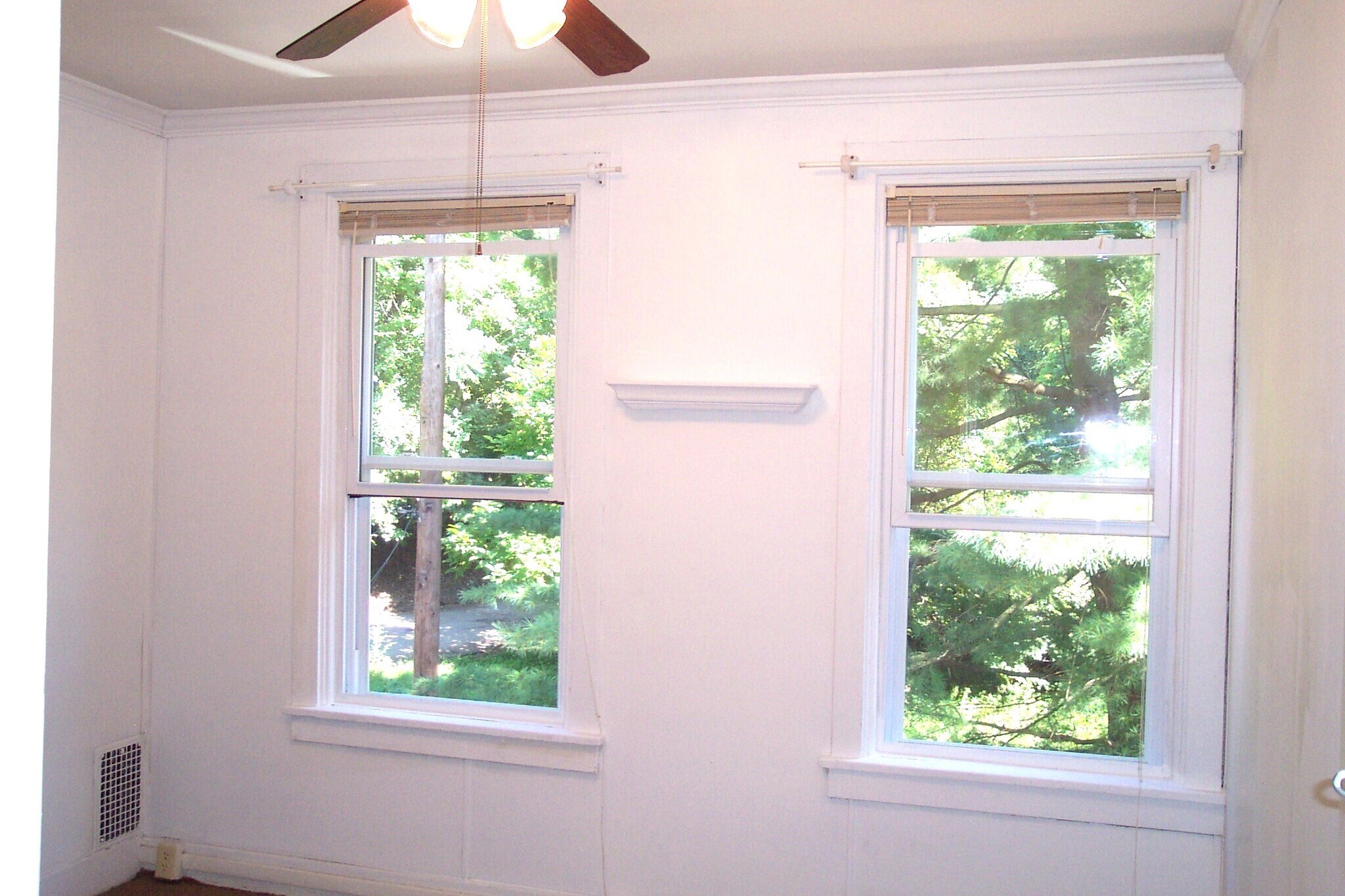 Building Photo - 49 Boundary St