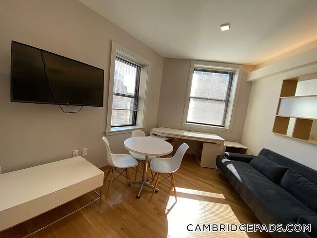 Building Photo - 115 Mt Auburn St
