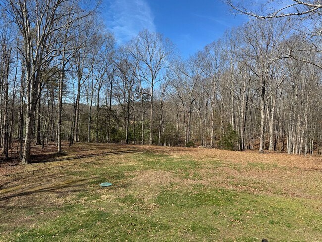 Building Photo - Single family home located in southern Rockbridge County