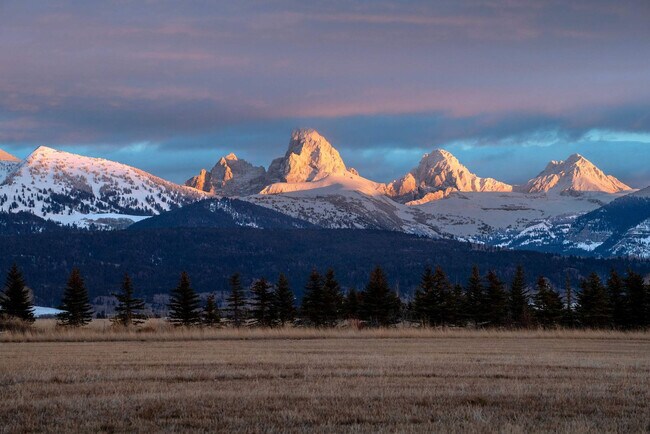 Building Photo - 4535 Roxanne St