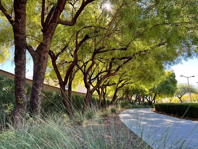 Building Photo - 1 Story in Summerlin - Fresh Carpet, Paint, and Luxury Plank!