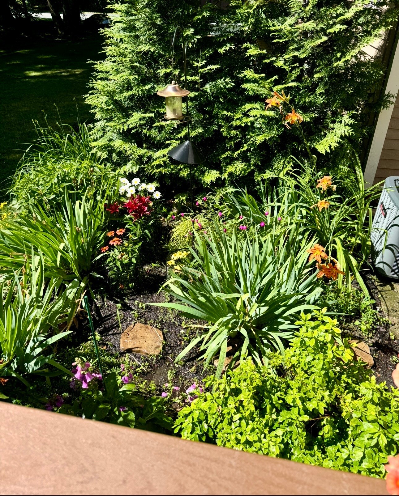 Building Photo - 275 Donohue Rd