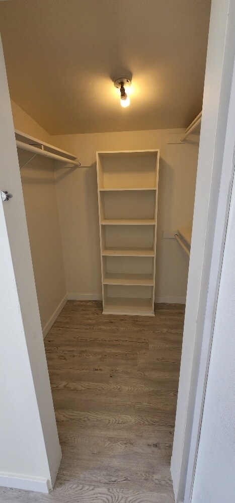 Building Photo - 544 Virginia St