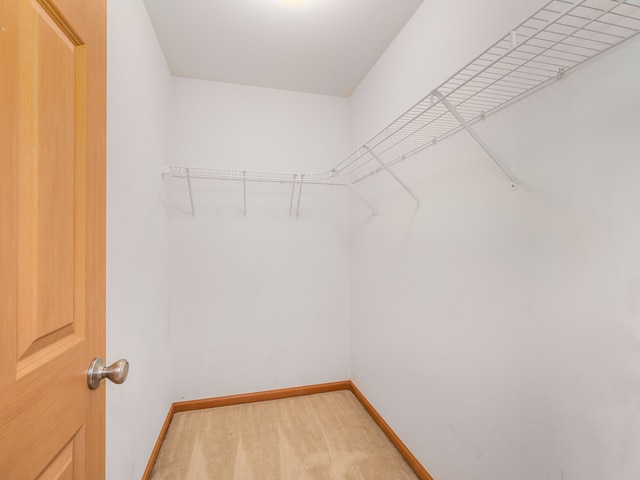 Building Photo - 1614 Fredericksburg Ln