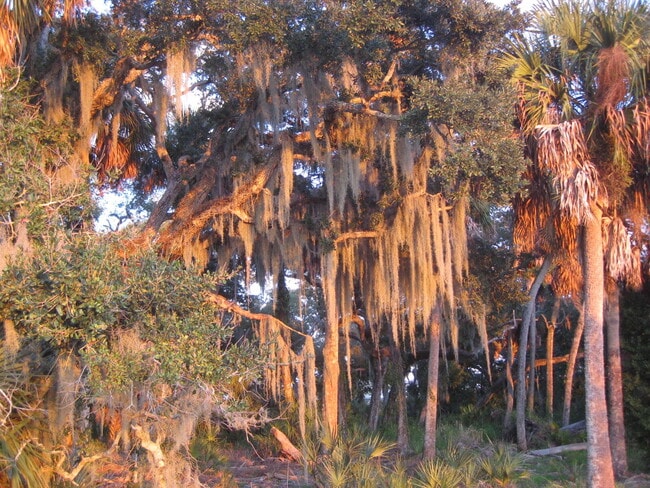 Building Photo - 2116 SE Eatonville Dr