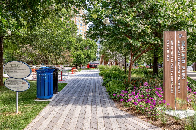 Walk acoss the street with your picnic lunch ranquil Park on the corner. - 3800 Fairfax Dr