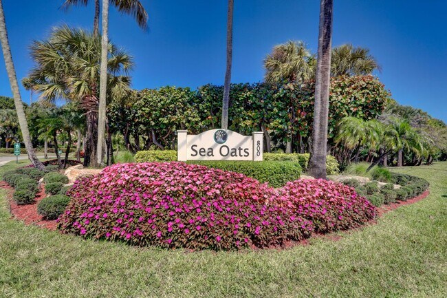 Building Photo - 206 Sea Oats Dr