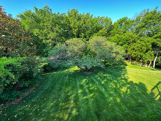 Building Photo - Elegant 4-Bedroom Home in Beautiful Lake S...