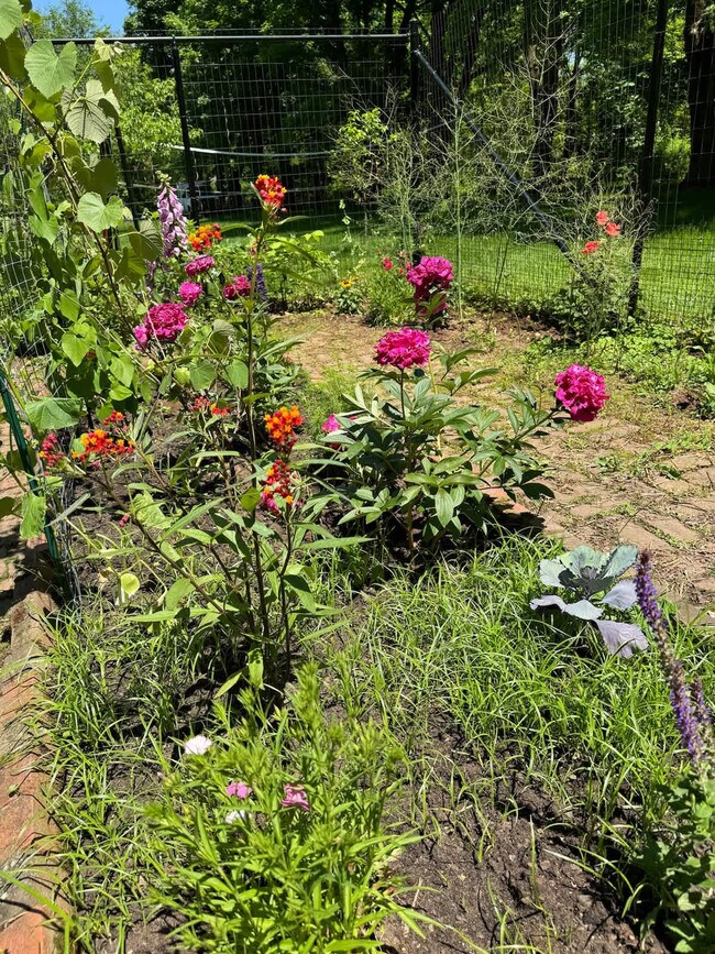 Building Photo - 1357 Canal Rd