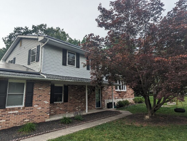 Building Photo - 2224 White Tail Ct