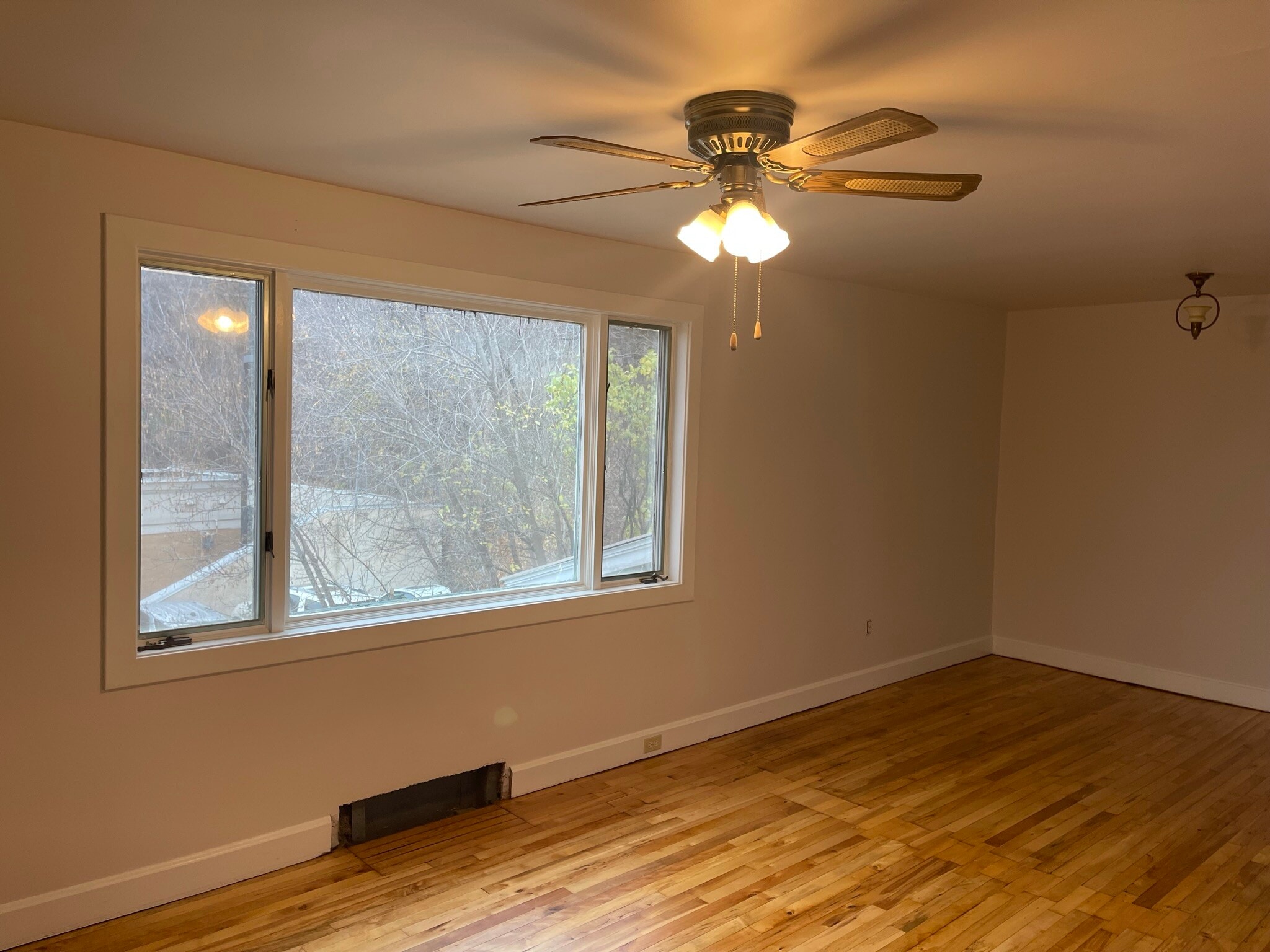 Living room - 217 E Franklin St