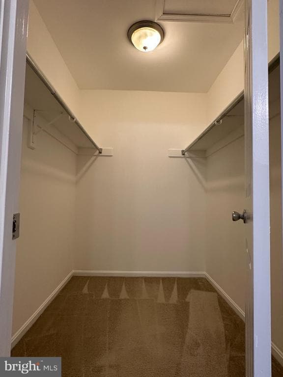 Building Photo - 10152 Village Knolls Ct