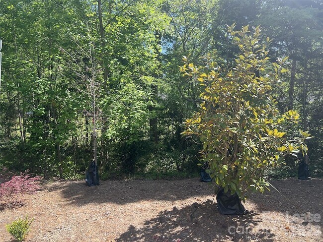 Building Photo - 1356 Briar Creek Rd