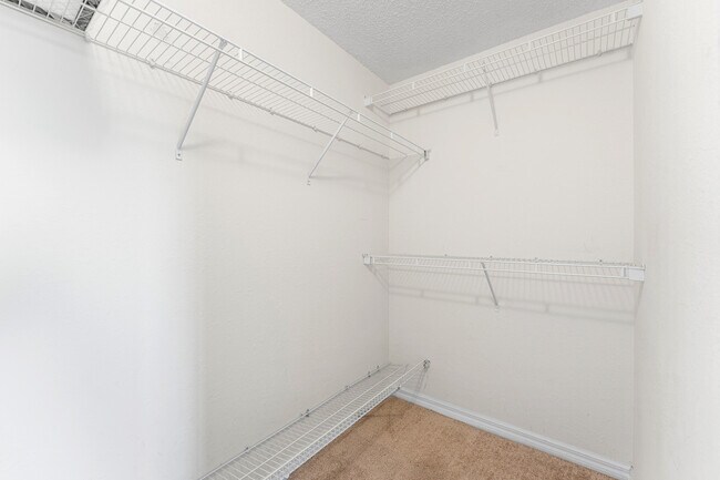 Building Photo - 2726 Anzio Ct