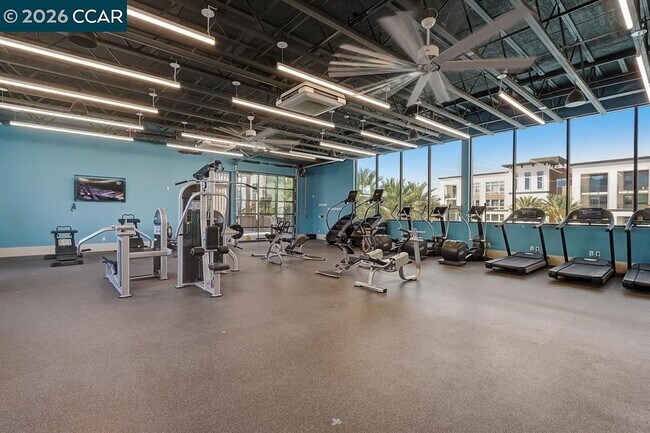 Building Photo - 5561 Apex Dr