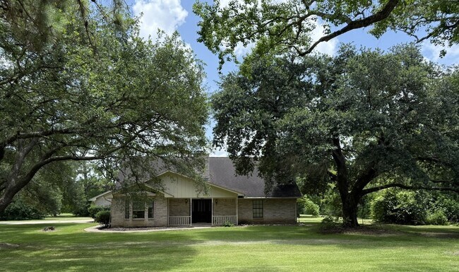 Primary Photo - 831 Avenue L