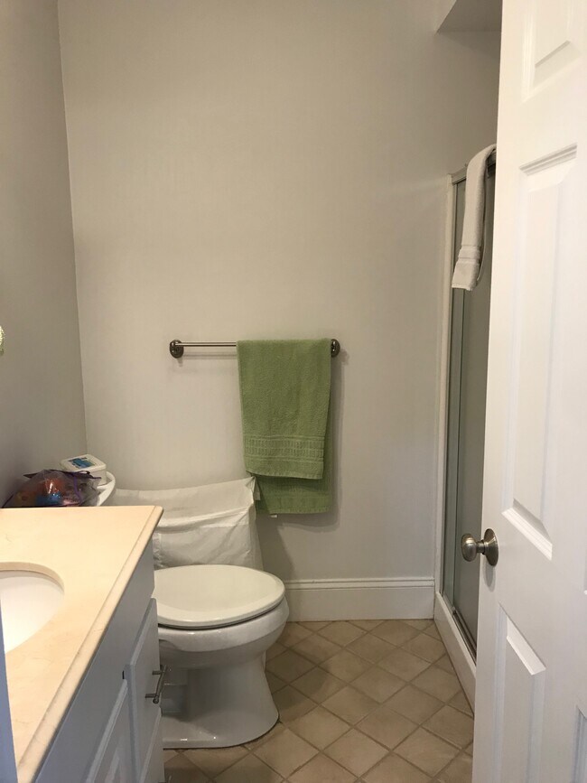 Bathroom 1 - 38 Eddy St