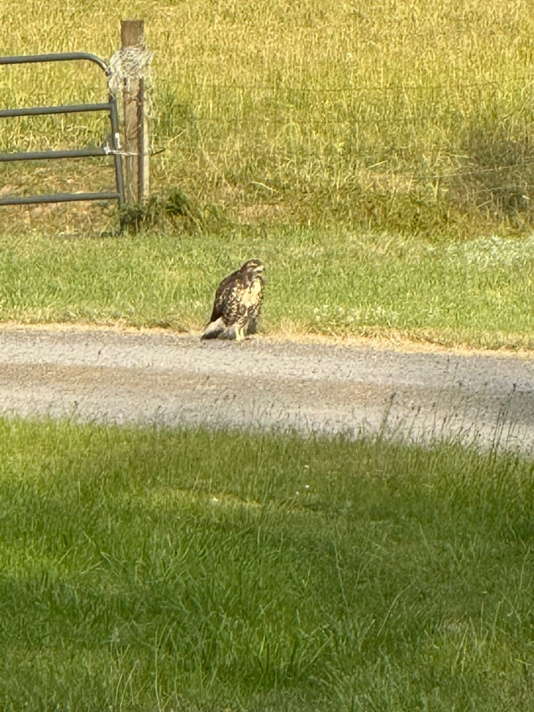 Building Photo - 2804 NW 199th St