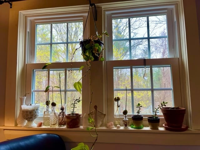 The apt has ample lighting from seven new energy efficient windows - 103 Jennie Ln